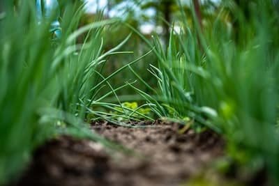 Comment aménager son jardin pour le printemps ?
