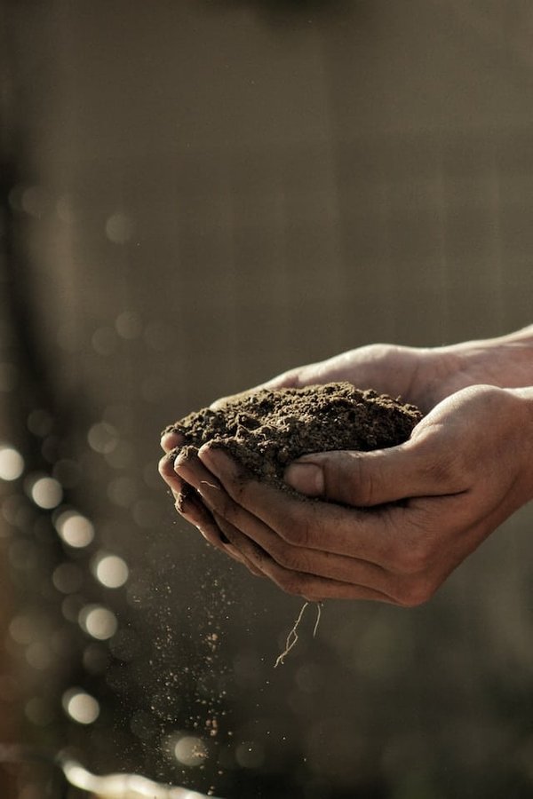 Comment faire son propre compost ?