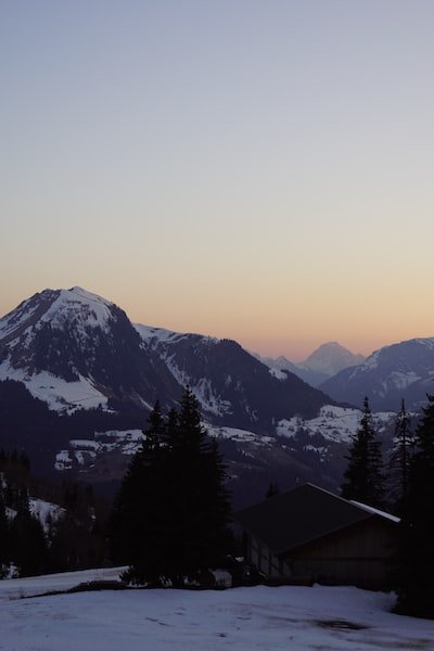 Sapin de Noël artificiel : nos conseils pour bien l'installer